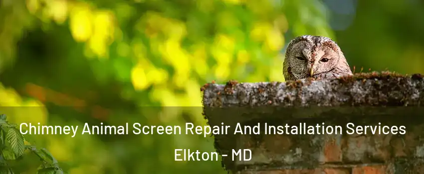  Chimney Animal Screen Repair And Installation Services Elkton - MD