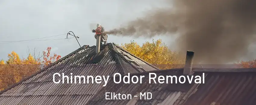  Chimney Odor Removal Elkton - MD