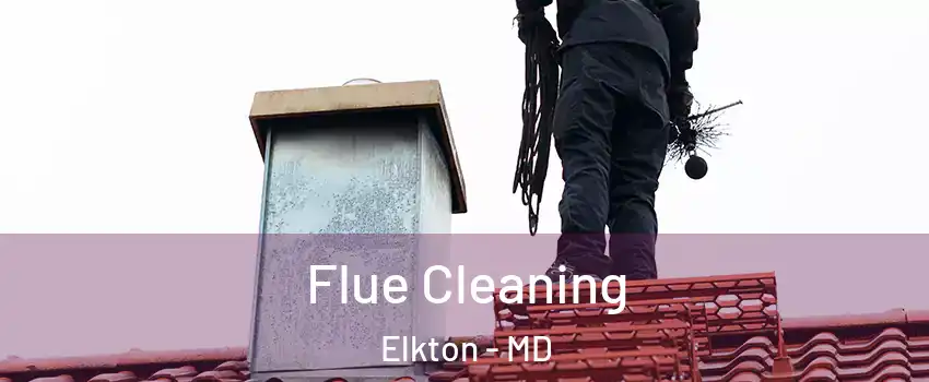 Flue Cleaning Elkton - MD