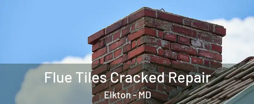  Flue Tiles Cracked Repair Elkton - MD