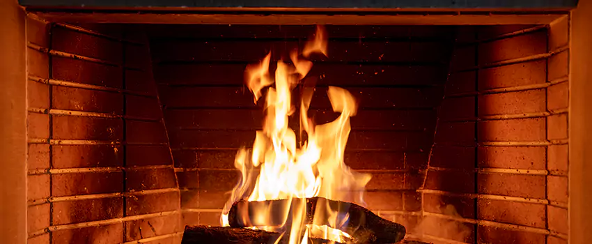 Soot Cleanup Services in Elkton, MD