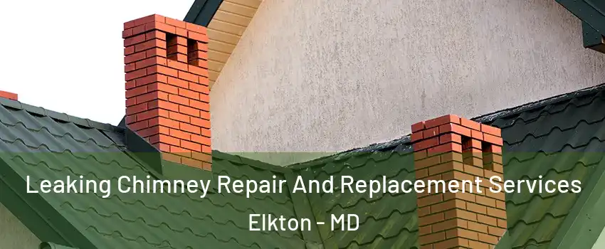  Leaking Chimney Repair And Replacement Services Elkton - MD