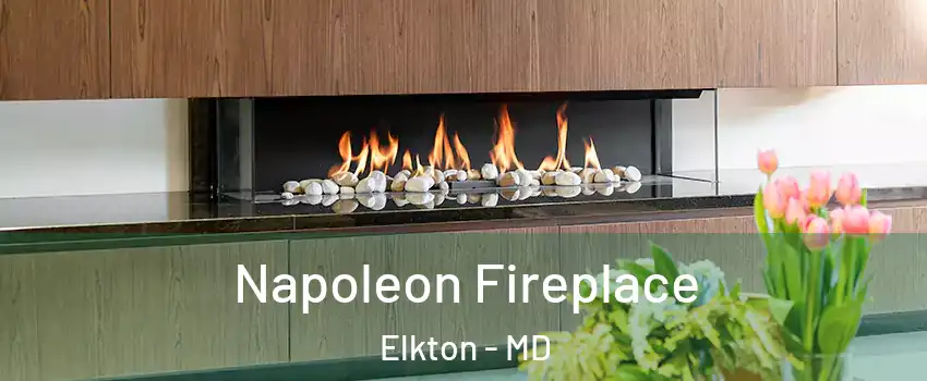  Napoleon Fireplace Elkton - MD